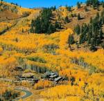 Park City | Staprans Design